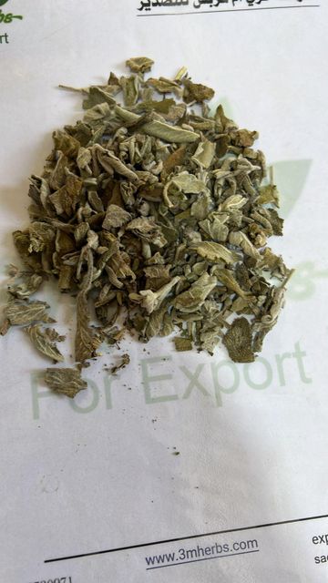 Damiana (Turnera diffusa) Dried Sage Leaves Turnera diffusa Dried 100 % Natural - Image 3