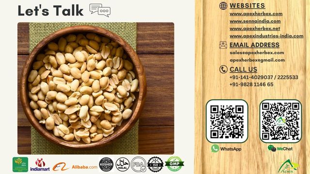 Java Peanut 6070, Java Peanut 60 70, Java Peanut 60/70, Peanut, Peanuts, Arachis hypogaea, Java Peanut, Java Peanut Kernels, Blanched Peanut, Indian Java Peanut, Indian Blanched Peanut, Peanuts Java Kernels, Peanuts Kernels, Peanut With Shell, Peanuts, Indian Peanuts,Java Peanuts, Java Peanut Supplier From India. - Image 4