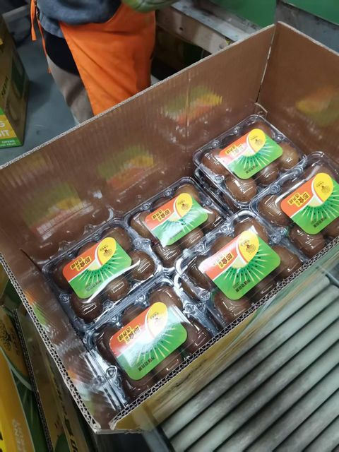 Top Grade Chinese Kiwifuit for Export with High Sweetness Shape Oval Texture Firm Grade Class 1 Brand Name OEM Size 25-33 count - Image 4
