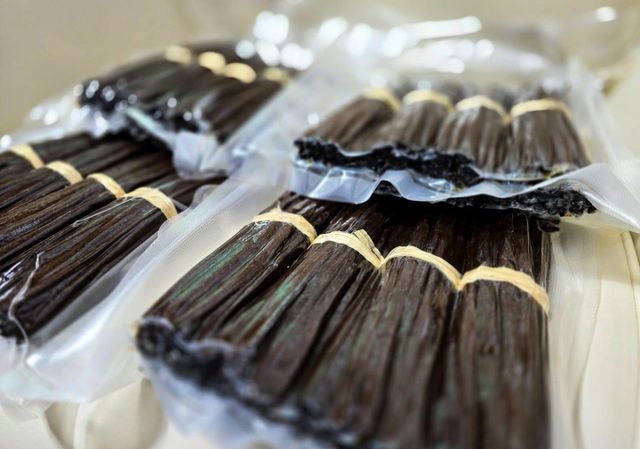 Madagascar Gourmet Grade A vanilla beans - Image 4