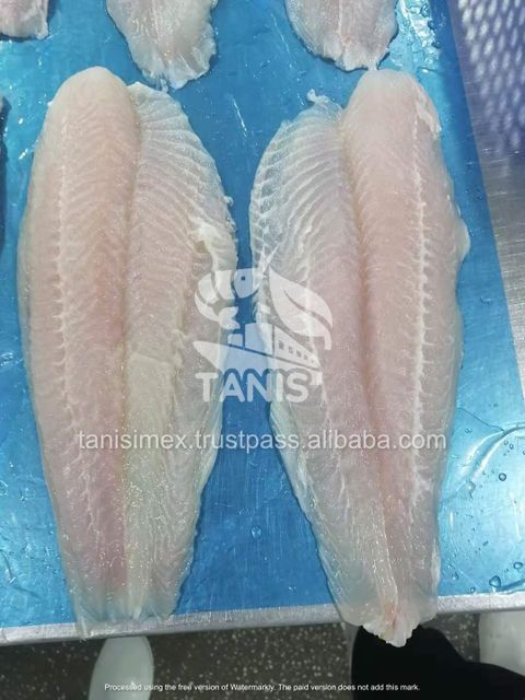 FRESH PANGASIUS FILLET WELL-TRIMMED WITH IQF PACKING FROM VIETNAM - Image 3