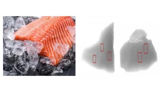 Reliable X-ray Inspection for Food Processing Plants - Image 5