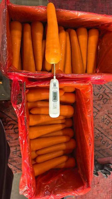 Fresh carrot - Image 3