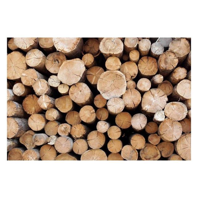Bulk Timber wood available wholesale offers strong quality stock quick shipping service - Image 3