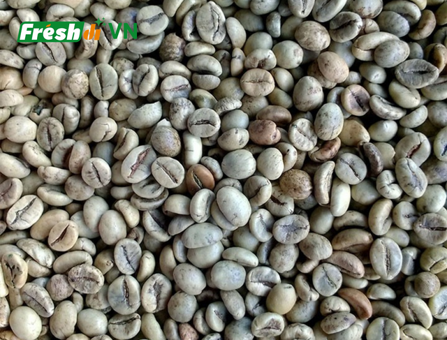 Green Coffee Beans from Vietnam (Robusta / Arabica) - Image 5