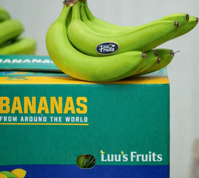 MOST POPULAR LUU'S FRESH GREEN&YELLOW CAVENDISH BANANAS EXPORT GRADE IN 10Kg,12Kg CARTONS ON SALE - Image 3