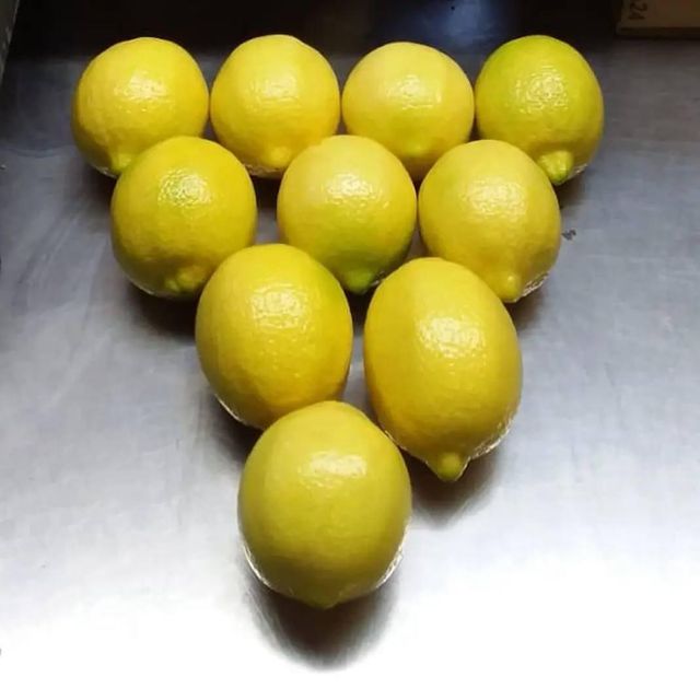 Class 1 Fresh Eureka Lemon for sale Organic Yes Origin South Africa - Image 2