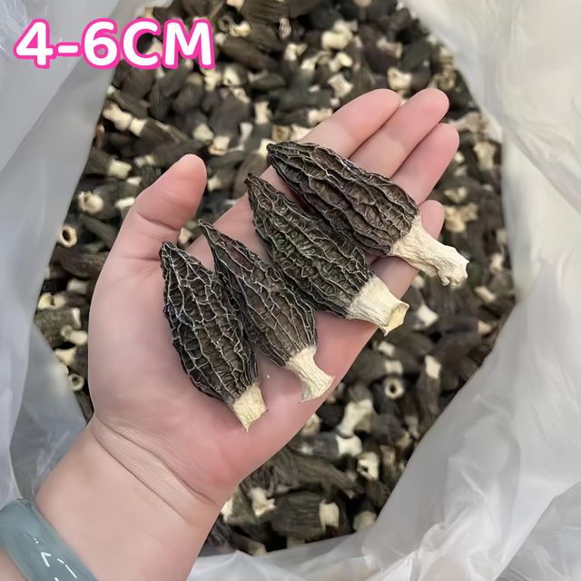 Chinese dried morel mushrooms,morchella,Dried Morchella - Image 2