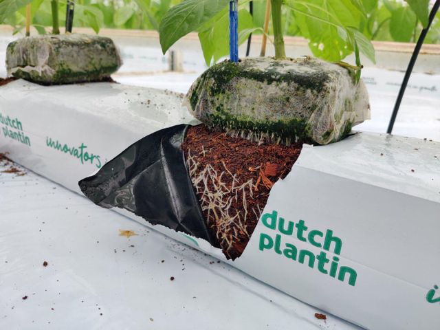 Coco Blocks, Growbags - Image 1