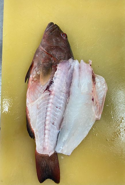 Groupers (Sunu) Type Fresh, Frozen Style 1.0 - 2.0 kg Packaging Master Carton, - Image 5