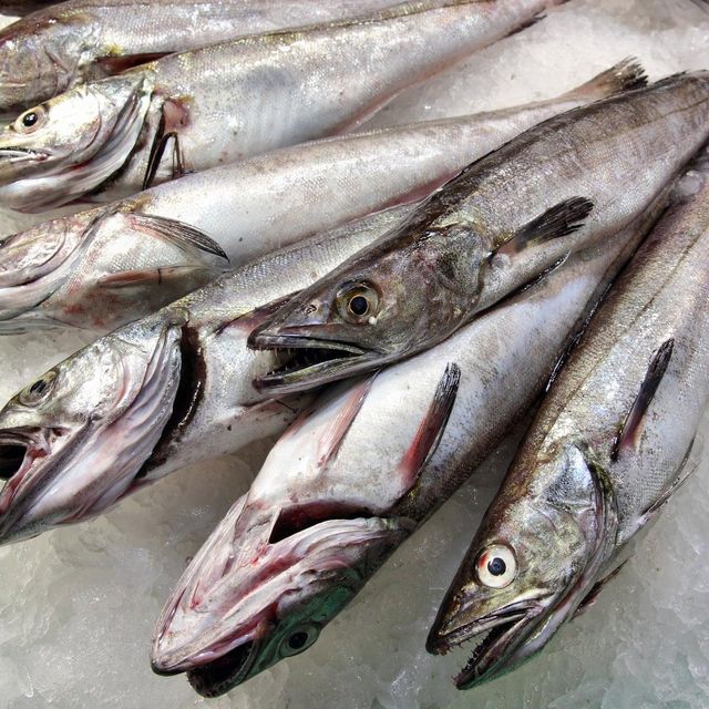 Frozen Hake Fish Carefully Processed Export Quality Product With Natural Flavor Balanced Moisture And Clean Fillet Yield - Image 4