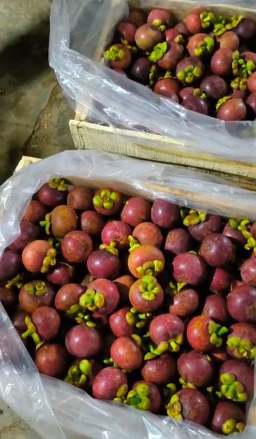 Fresh Fruits - Image 3
