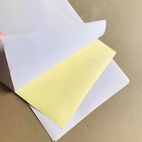 Semi Glossy Cast Coated Sticker Paper - Image 6