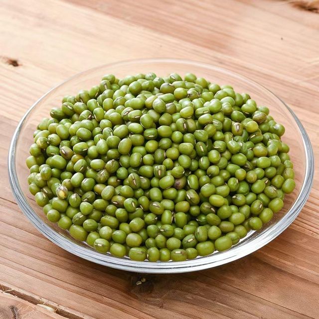 Organic Green Mung Beans Dried Style in Bulk Packaging Product Category Vigna Beans - Image 3