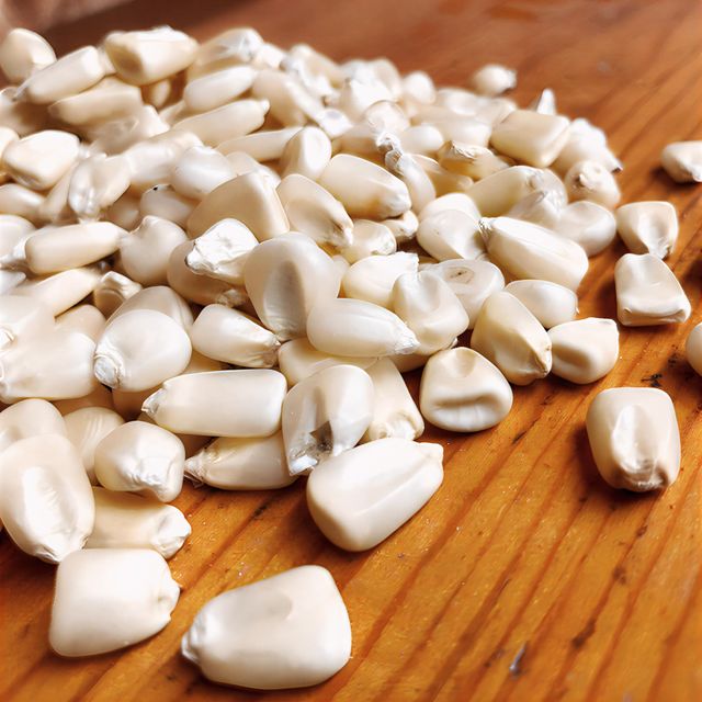 corn (maize) Origin India Place of Origin india Delivery Form Bag, Sacks Features GMO-Free, Natural Packaging Size 50 K.g., > 10 kg to 25 kg, > 2 kg to 5 kg, > 25 kg - Image 4