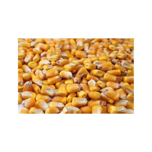 Brazil Commodities frozenchickenexports.com - Image 2