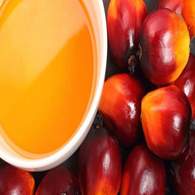 100% Pure & Natural Food Grade Refined Palm Oil Fractionated Cooking Oil Wholesale Bulk Purchase Manufacturer - Image 5