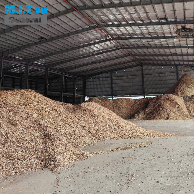 Vietnam Factory Acacia Wood Chips For Paper Pulp - Image 4