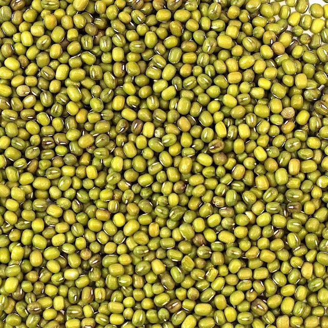 Selected Dehydrated Green mung beans From Trusted Farms With Clean Processing And Bulk Packing - Image 3