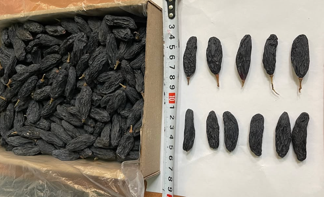 Sweet Flavor Dried Grapes Premium Quality Raisins Carefully Selected Packed in 10kg Cartons On Sale - Image 5
