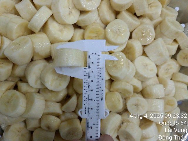 Frozen Cavendish Banana Slices (1–2 cm) - Image 1