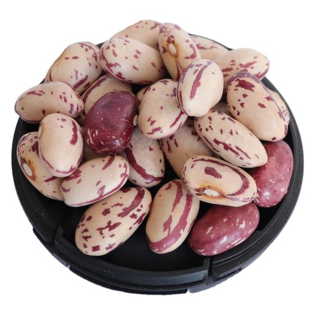 New Crop LSKB Long Shape Organic Dried Pinto Light Speckled Kidney Beans - Image 1