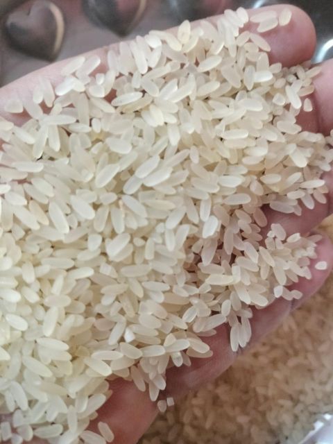 Basmati and Non Basmati Rice - Image 6