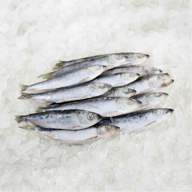 Frozen Sardine Fish Rich In Protein And Omega 3 Content For Food Service Providers And Wholesale Seafood Supply - Image 2