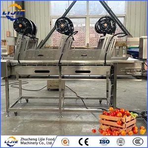 Hot Sale Automatic Factory Price OEM Customized Washing Cleaning Machine for Tomato - Image 5