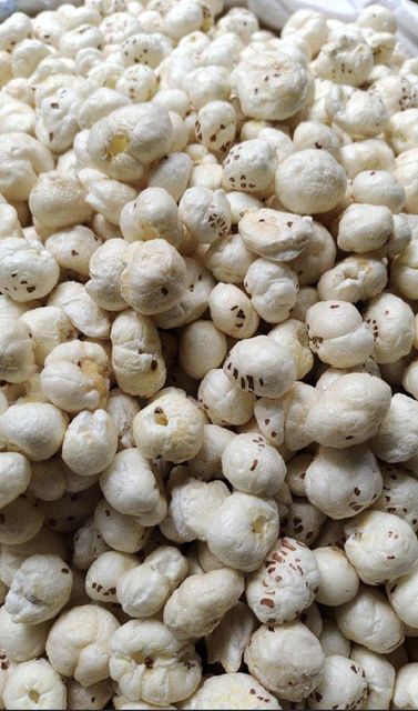 Fox Nuts - Image 1