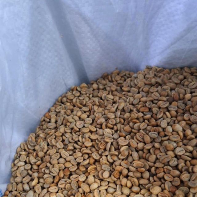 G2 (Grade 2) Commercial Coffee Natural Dry & Washed Grade G2 Coffee Grade G2 Hs Code 0901119010 Product Origin Ecuador Max. Moisture (%) 10-12% - Image 2