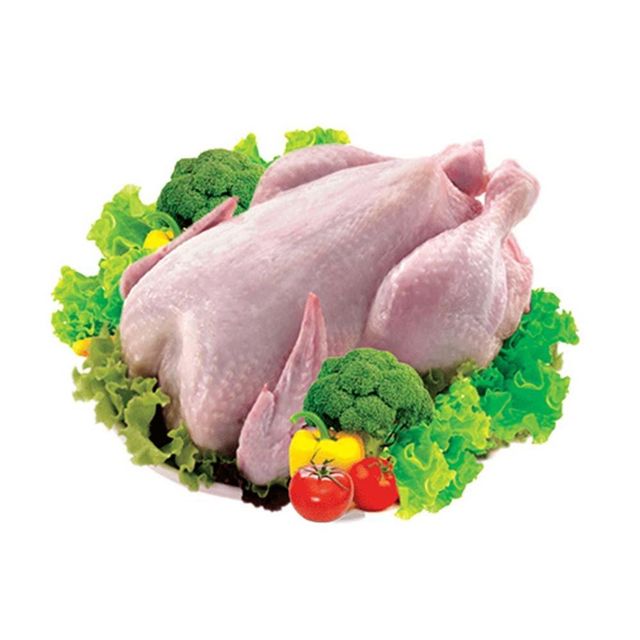 Top Selling Premium Grade High Quality Low Price Fresh Poultry Whole Frozen Chicken Meat - Image 3