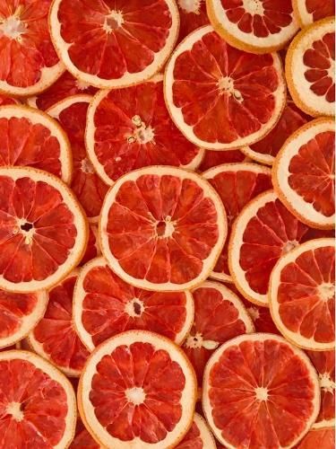 Dehydrated Dried Grapefruit Slices - Image 1
