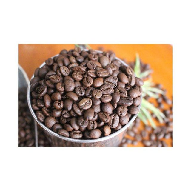 Premium robusta coffee beans offered for export grade trade and large scale sourcing - Image 4