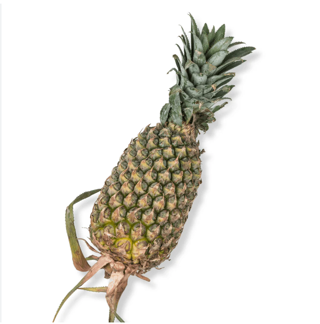 Fresh Sweet Pineapple Tropical Fruit Natural Farm Grown Juicy Rich Flavor Pineapple For Export Wholesale - Image 4