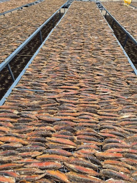 Dried Maasi (Maldive Fish / Masmin) – Hard Dried Tuna, Indian Origin – product photo 4, product detail gallery