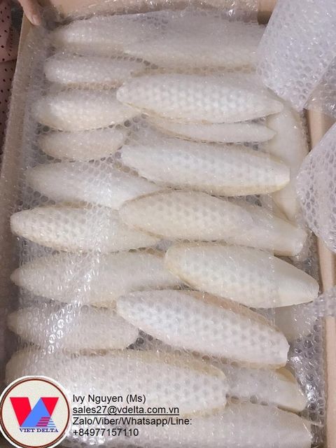 VEGETABLE MARKET PRICE FRESH WHITE RADISH Type Radish Style Fresh Color White Weight (kg) 1 Taste Delicious Model Number - Image 3