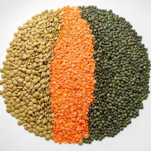 Wholesale Red Lentils High Grade Whole Lentils Low Cost Bulk Supply - Image 5
