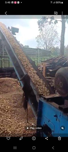 Wood chip - Image 2