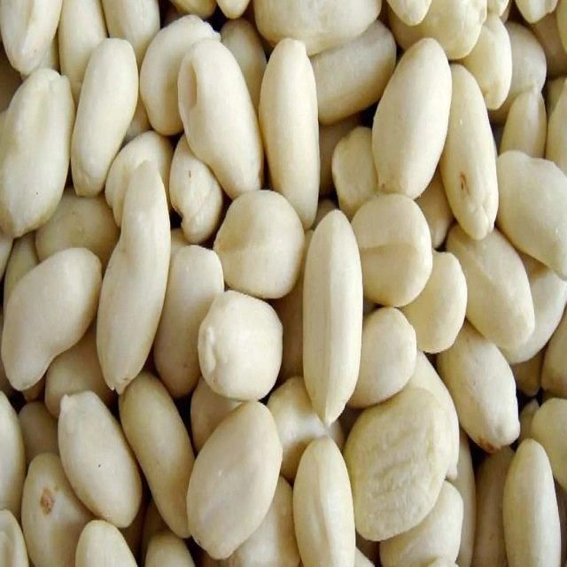 Buyers for Wholesale Jumbo Raw Peanuts High Quality Natural Bold Blanched Peanuts - Image 3