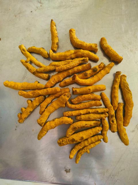 Dried/Finger Turmeric Package Type Pp Package Moisture Content 12% Max Package Weight 50 Kg Bag Curcumin Content 1.5 To - Image 1