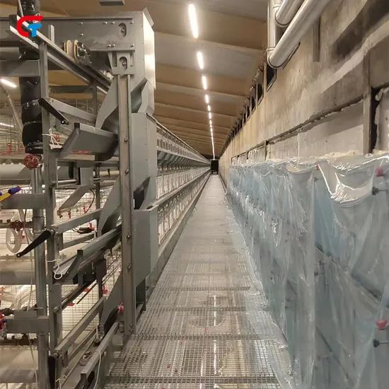 Factory Price H Type Layered Chicken Farm Automatic Poultry Cages - Image 5