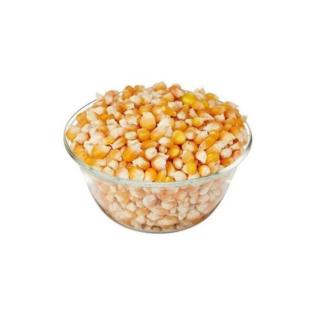Non-GMO yellow maize available for global agricultural markets - Image 3