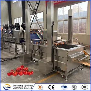 Fruit and Vegetable Processing Fresh Tomato Bubble Cleaning Washing Machine - Image 2