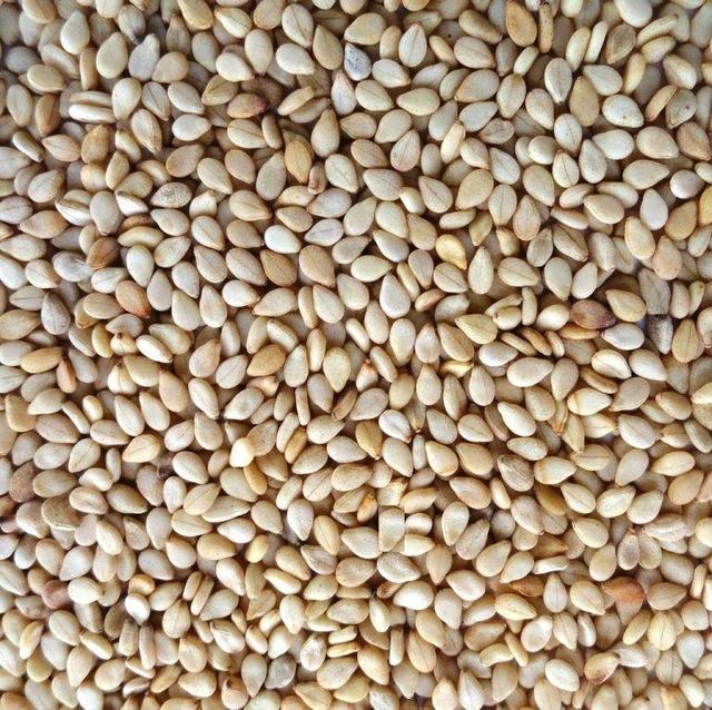 Sesame Seeds - Image 2
