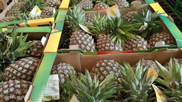 Premium Fresh Kenyan Pineapple – Export Quality | 12kg Box - Image 3