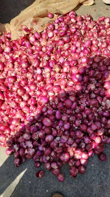 Red onions Organic Yes Texture Firm Color Red / White Foreign Matter Nil Flavor Strong Pungent Flavor Storage Performance Excellent - Image 5