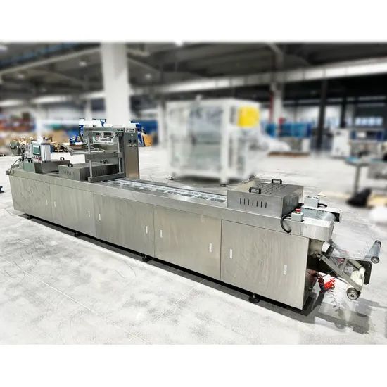 Factory Price Fish Seafood Sausage Cheese Stick Meat Vacuum Thermoforming Packing Machine - Image 6