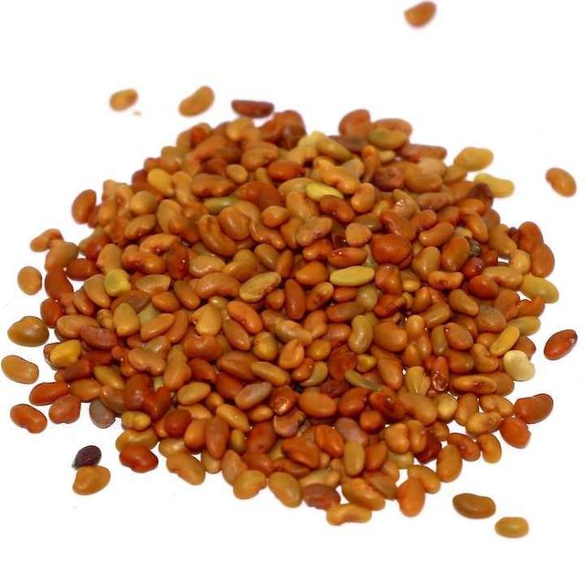 Certified Alfalfa Seed for Bulk Sale – High Yield, Nutrient Rich, Non-GMO Seed for Forage Production, Cover Crops, Sprouting, and Commercial Farming - Image 4