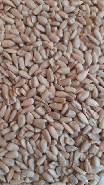 sunflower kernels bakery - Image 1